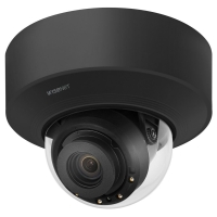 Купольная IP камера с моторизированным зум-объективом и ИК подсветкой